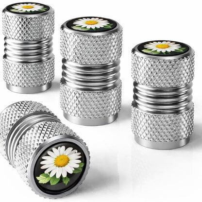 Aluminum Alloy Tire Valve Caps(Set of 4)